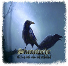 Sturmwehr - Nichts ist wie es scheint