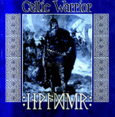 Celtic Warrior - Invader